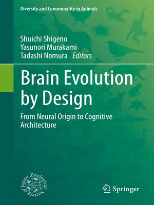 cover image of Brain Evolution by Design